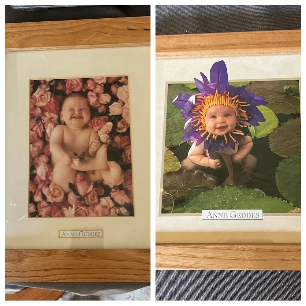 2 Anne Geddes framed pictures